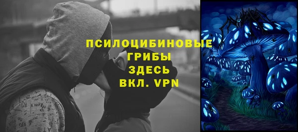ешки Алзамай
