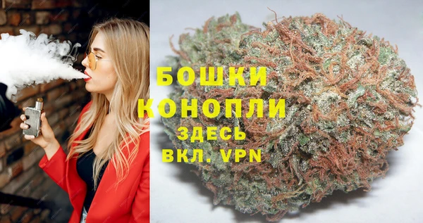 ешки Алзамай