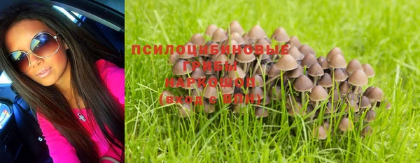 спиды Алексеевка