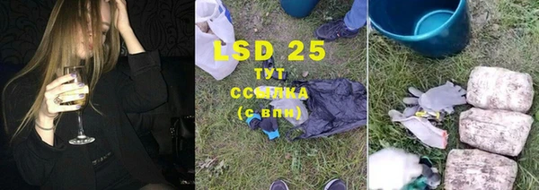 ПСИЛОЦИБИНОВЫЕ ГРИБЫ Алексин