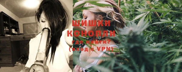 ПСИЛОЦИБИНОВЫЕ ГРИБЫ Алексин